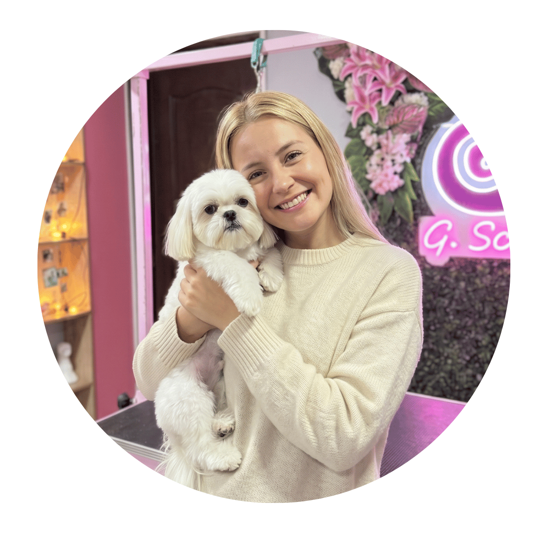 Este es el mejor servicio prepagado para perros en Bogotá