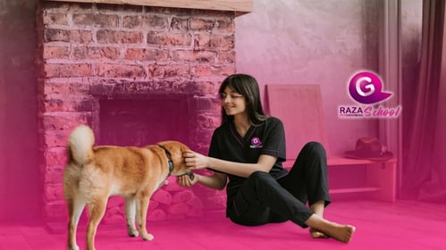 Academia de peluquería canina _ Bogotá