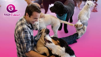 La razón por la que tu mascota huele mal aunque la bañes 