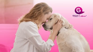 ¿Cómo controlar el pelaje de tu mascota? | grooming canino y felino