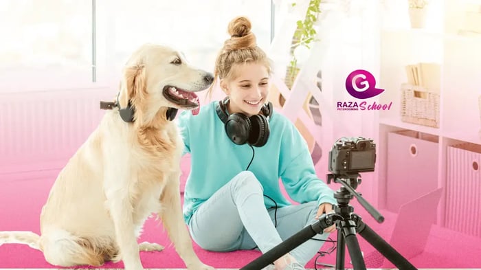 Blog de cuidado animal y peluquería canina