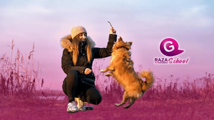 Razones por las cuales las personas estan estudiando temas relacionados con los animales