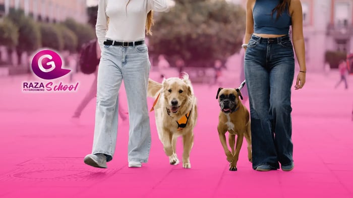 Cómo saber si triunfaras trabajando con animales