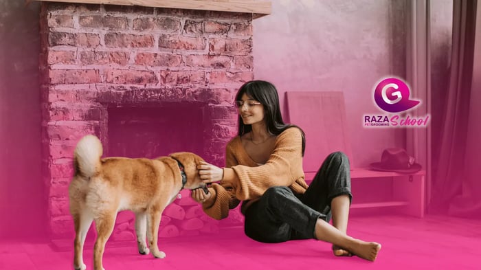 Profesiones para ganar dinero con los animales
