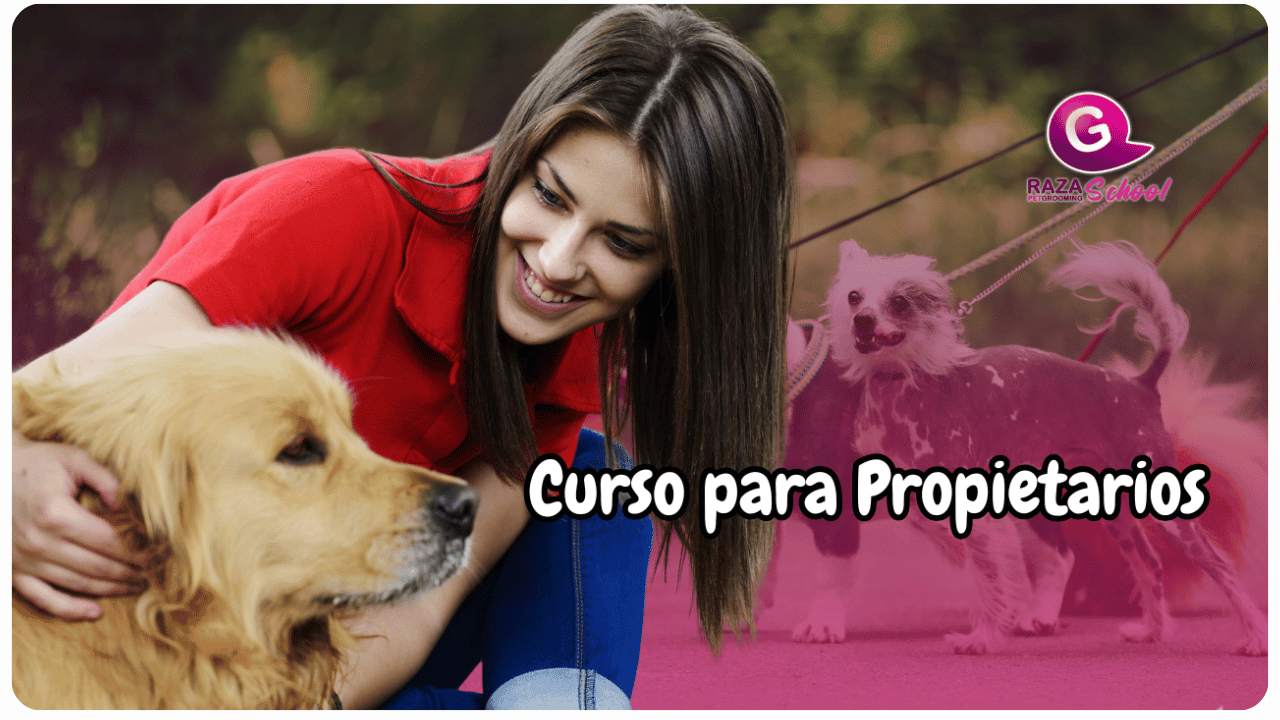 academia de peluquería canina en Estados Unidos New Jersey-1