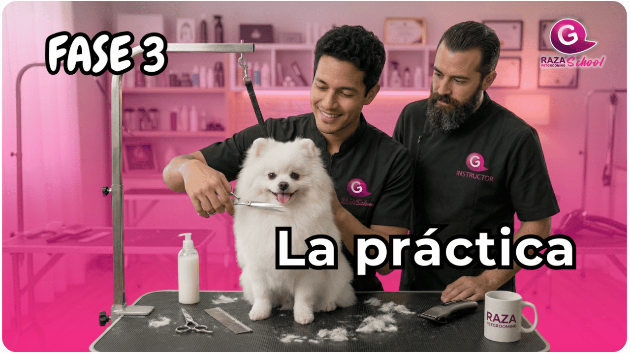 técnicas de corte comercial para perros en New Jersey-1