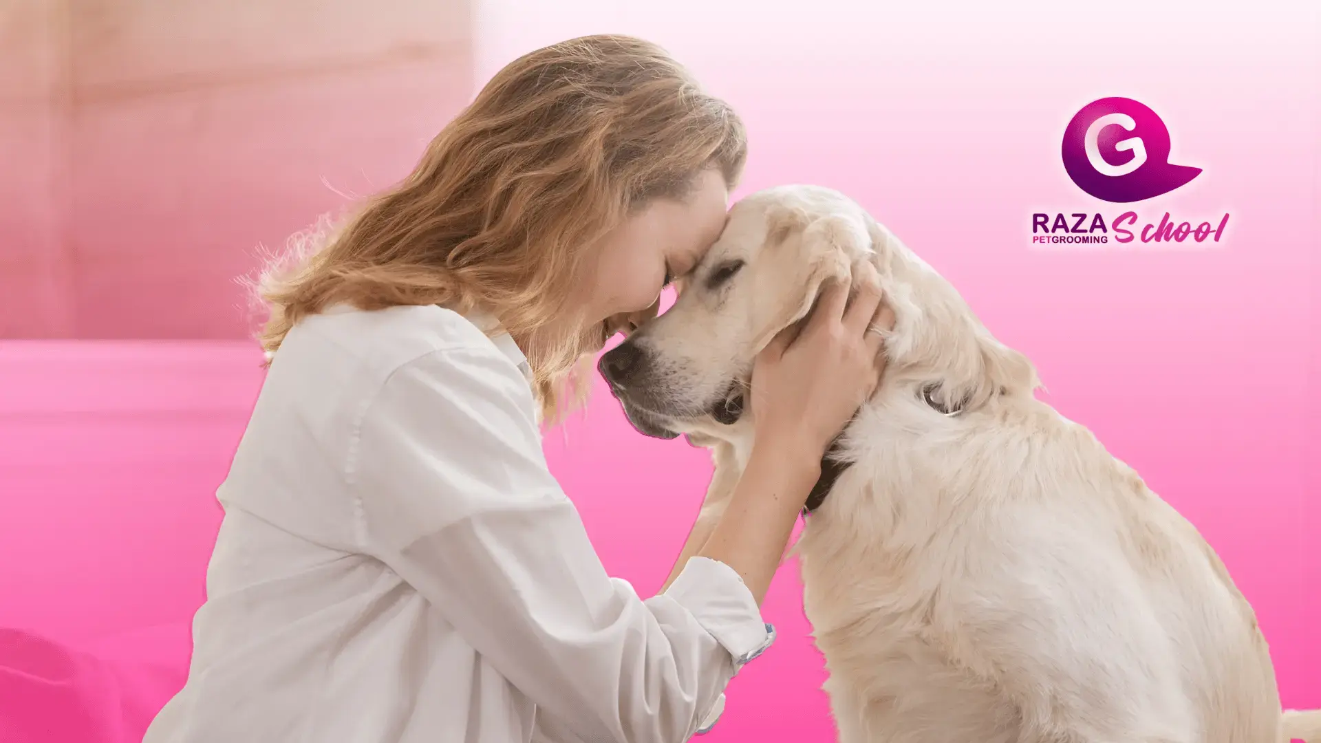 ¿Cómo controlar el pelaje de tu mascota? | grooming canino y felino