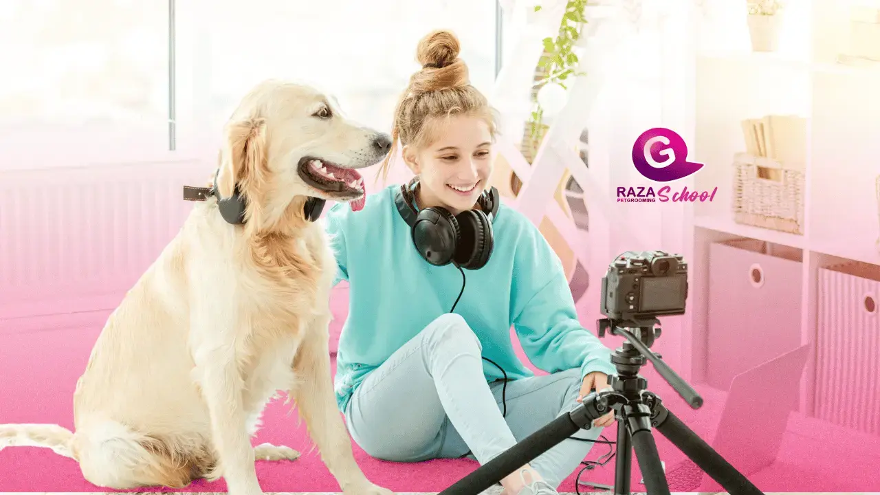 tipos de negocio en peluquería canina super rentables para este año 2026
