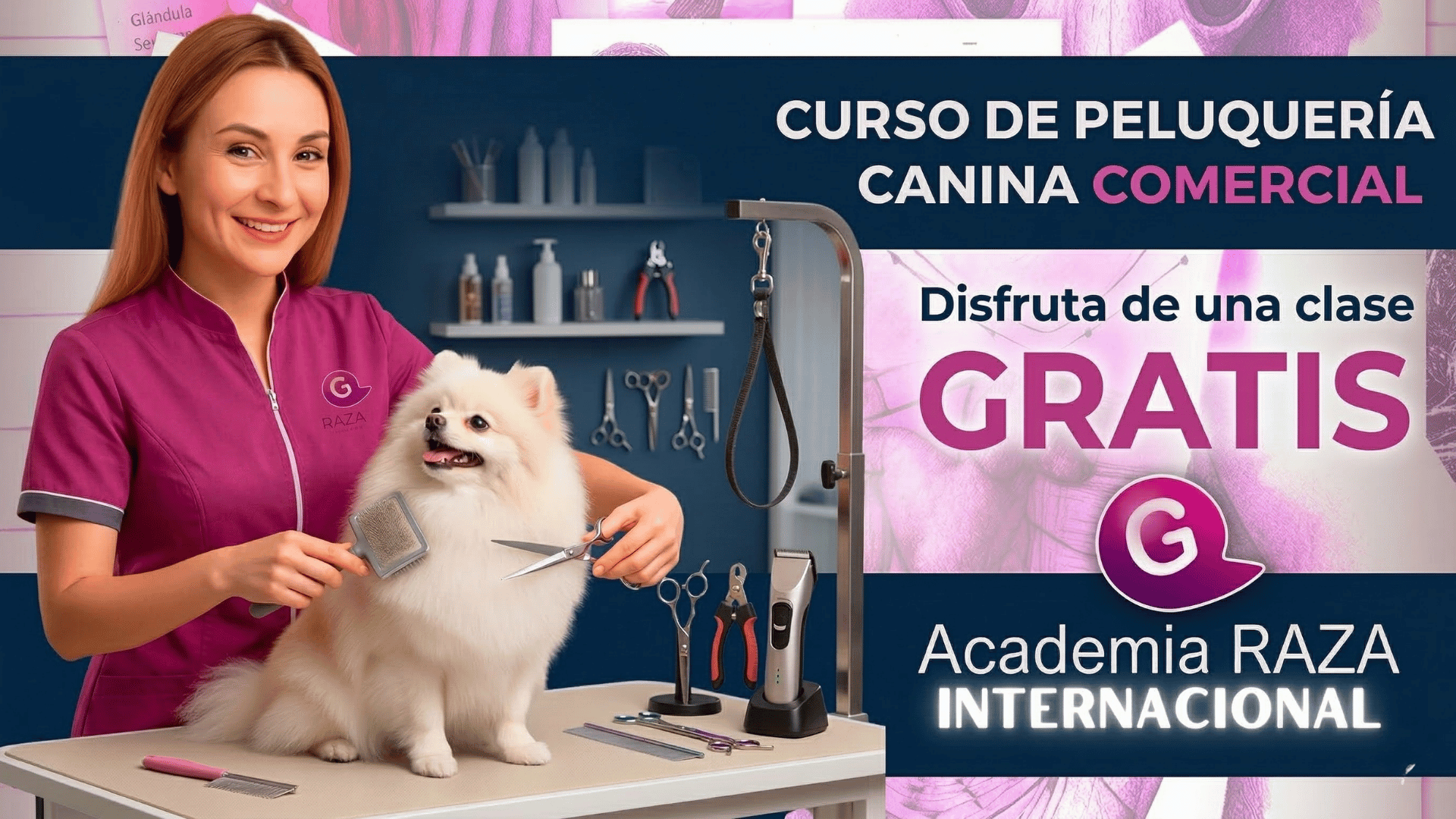 Clase Gratis de peluquería canina en Bogotá
