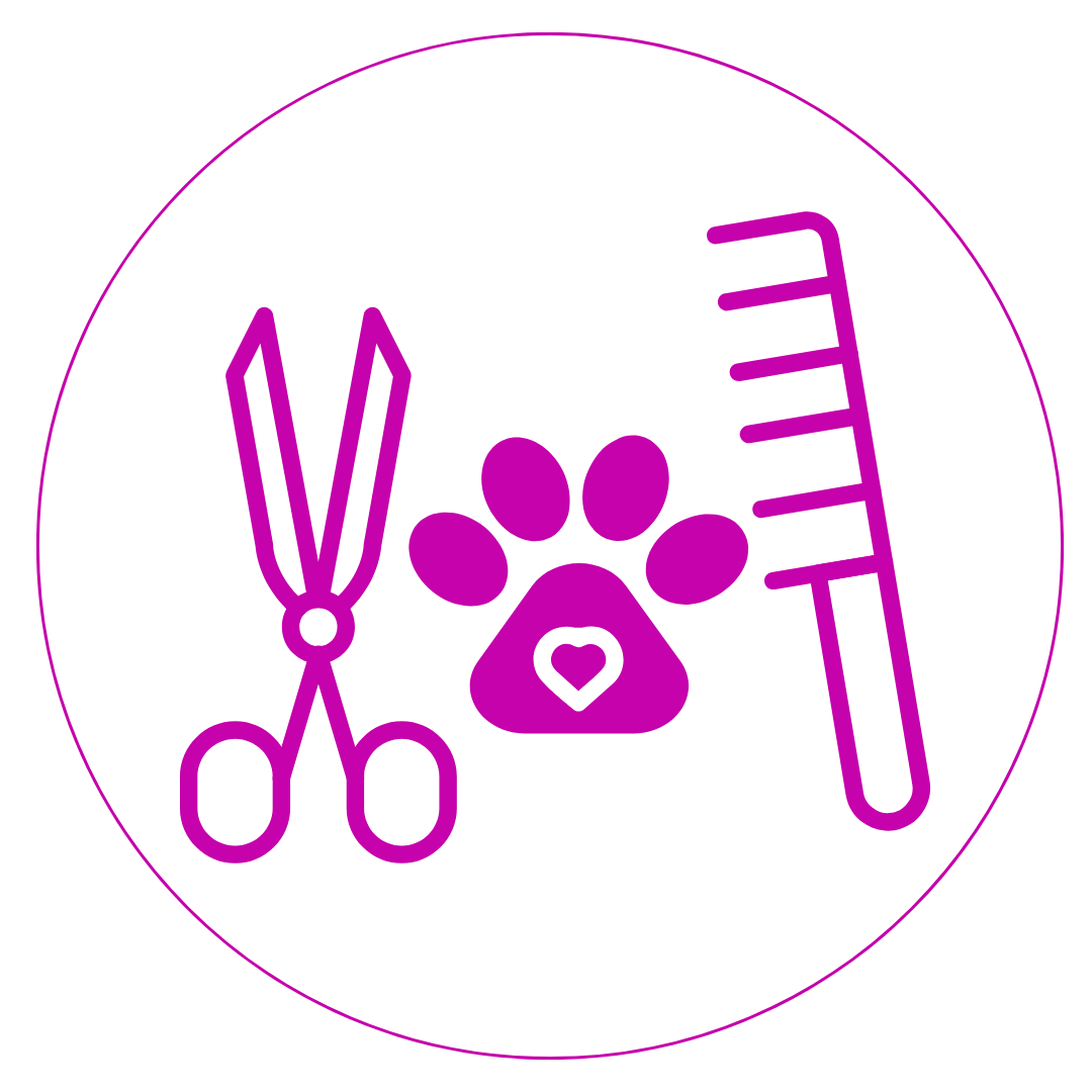 Curso avanzado de pet grooming en New Jersey