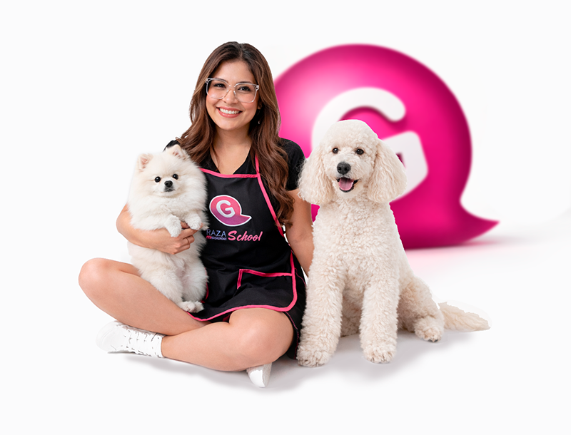 Donde aprender a peluquear perros bien