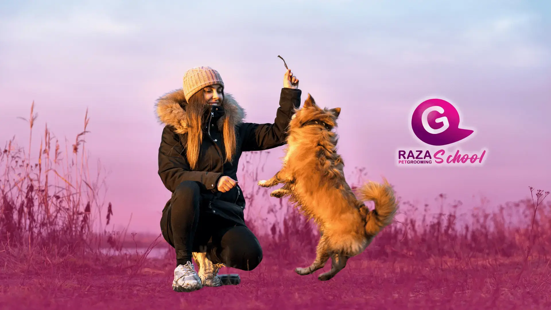 ¿Por qué dejar tu empleo tradicional para trabajar con animales? 6 razones para reinventarte