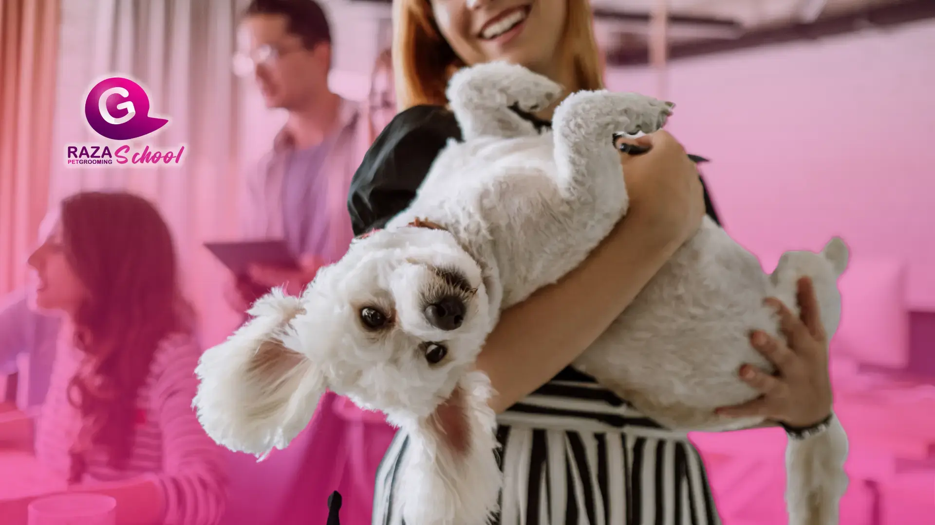 ¿Sabes cuales son los comportamientos si tu mascota tiene pulgas? 