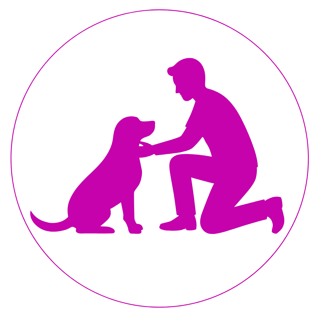 Sedes de peluquería canina en Estados Unidos